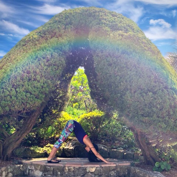 Meet your Posher, Yogi1 - Picture 1 of 2